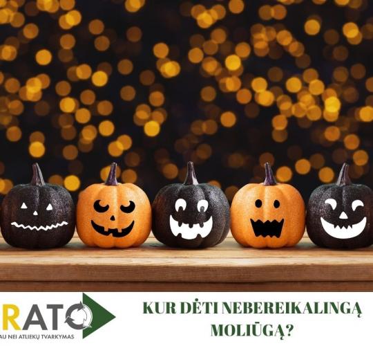 Kur dėti nebereikalingus moliūgus? (video)